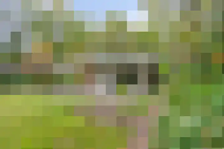 Hoekendaal 9 Bakel thumbnail 39