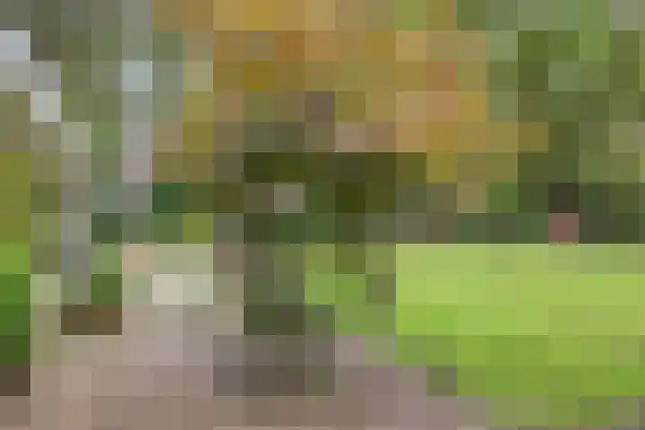 Hoekendaal 9 Bakel thumbnail 40