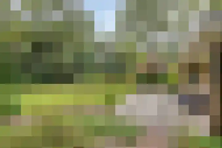 Hoekendaal 9 Bakel thumbnail 41