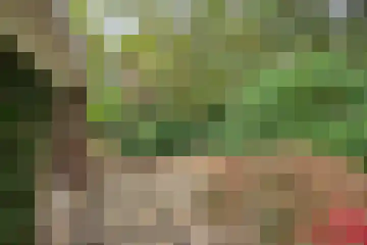 Hoekendaal 9 Bakel thumbnail 42