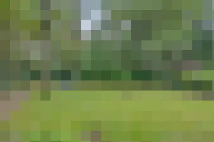 Hoekendaal 9 Bakel thumbnail 43