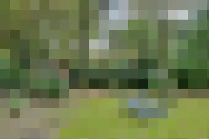 Hoekendaal 9 Bakel thumbnail 44