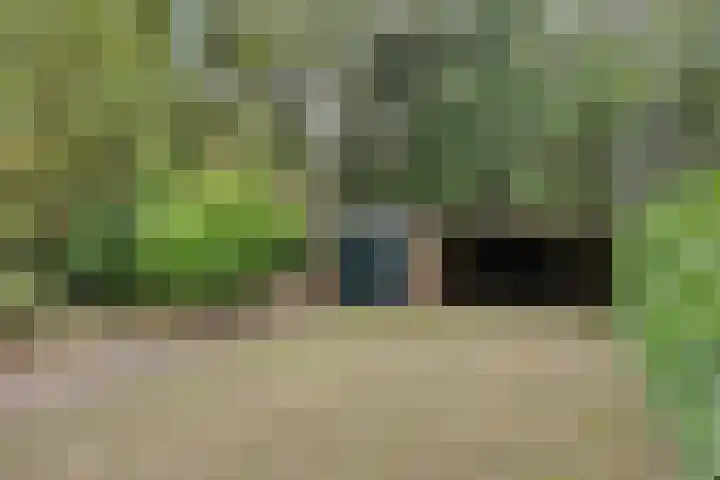 Hoekendaal 9 Bakel thumbnail 45