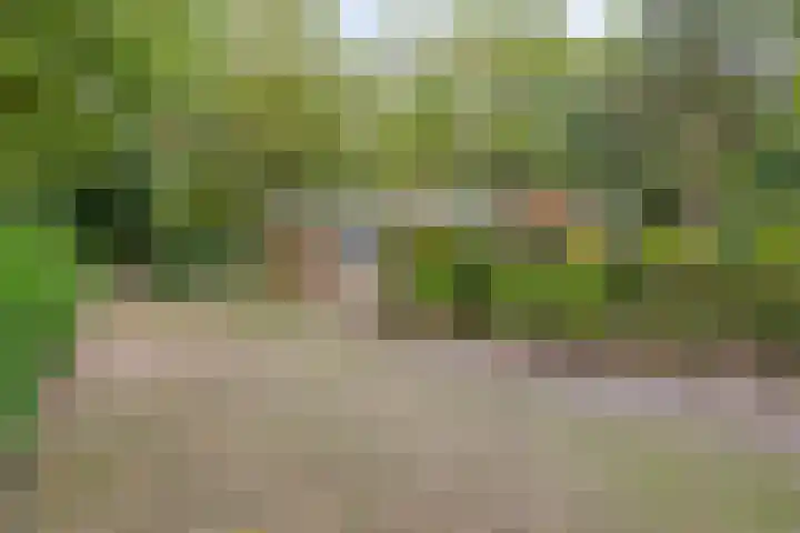 Hoekendaal 9 Bakel thumbnail 46