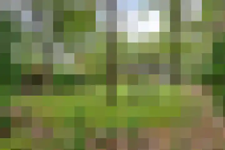 Hoekendaal 9 Bakel thumbnail 47