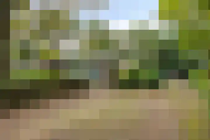 Hoekendaal 9 Bakel thumbnail 5