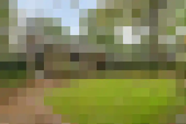 Hoekendaal 9 Bakel thumbnail 6
