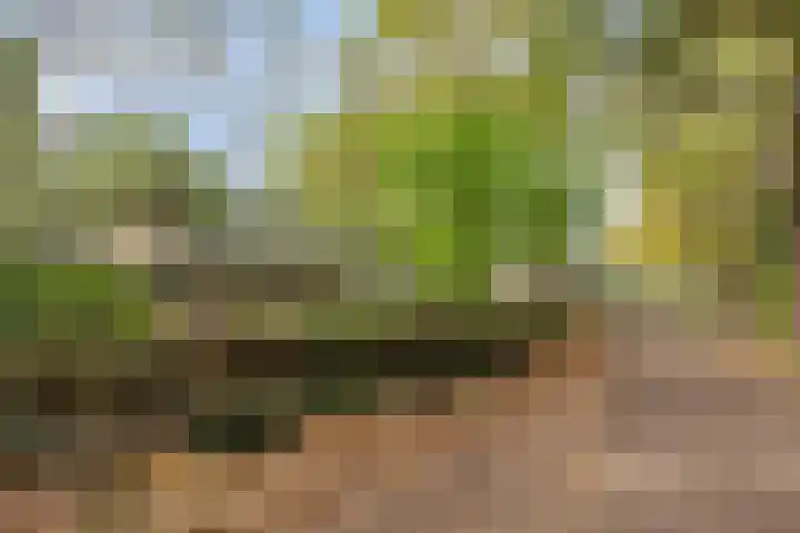 Hoekendaal 9 Bakel thumbnail 8