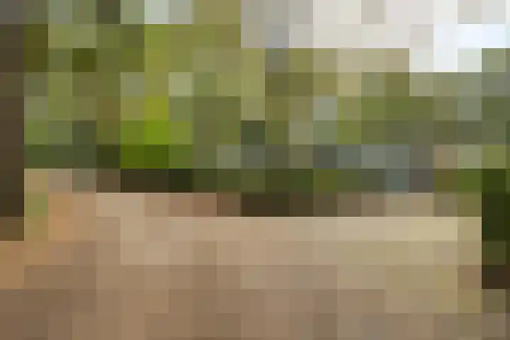 Hoekendaal 9 Bakel thumbnail 9