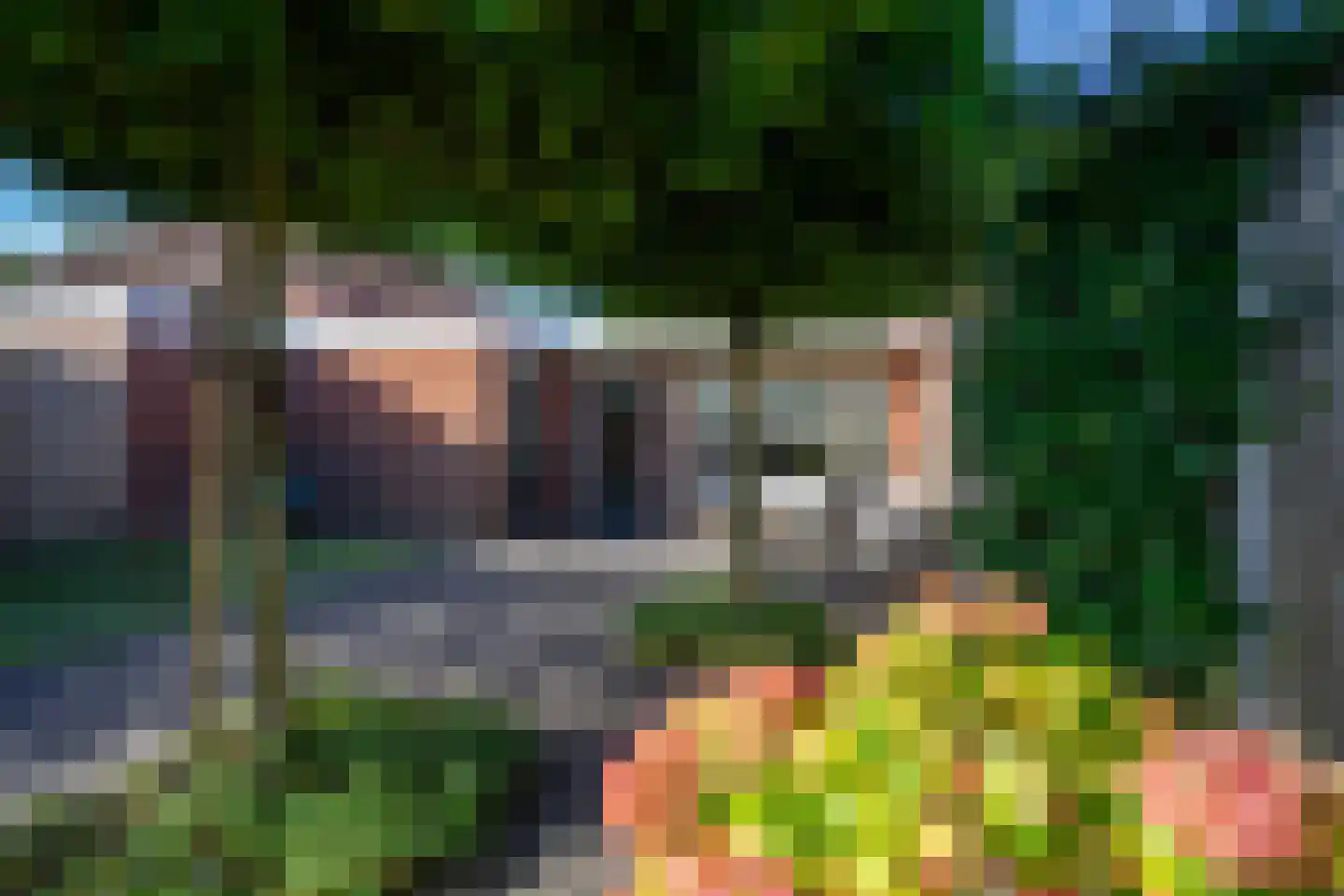 Hoekendaalse Velden 29 Bakel thumbnail 48