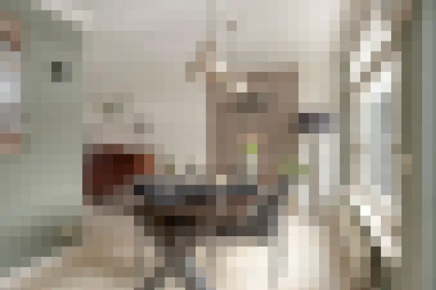 Hoekendaalse Velden 3 Bakel thumbnail 12