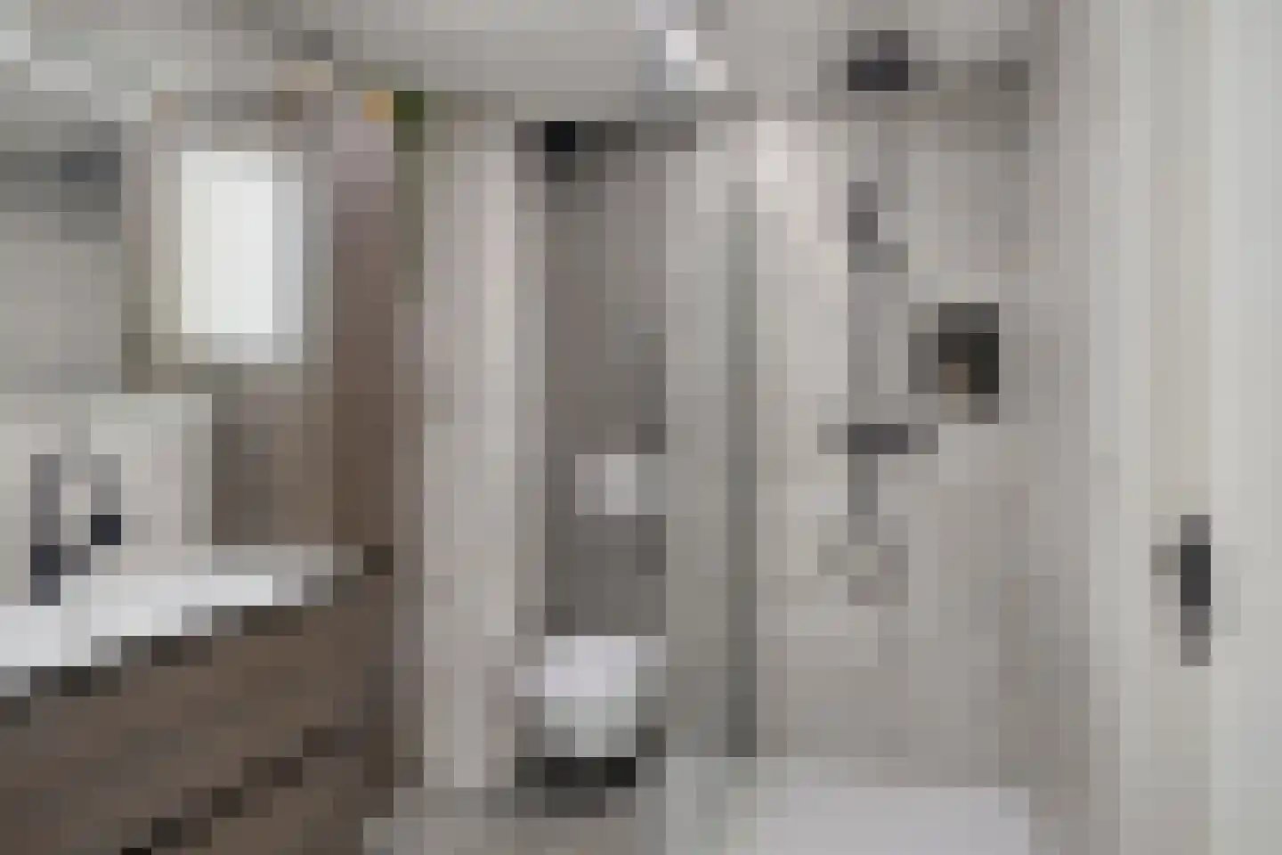 Hoekendaalse Velden 3 Bakel thumbnail 24