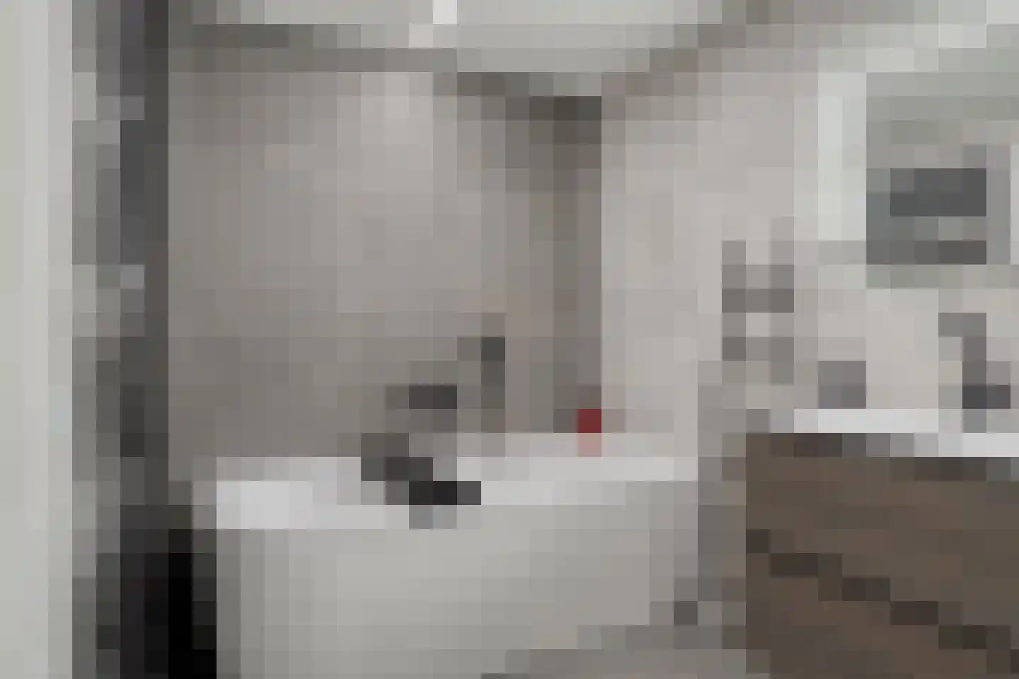Hoekendaalse Velden 3 Bakel thumbnail 25
