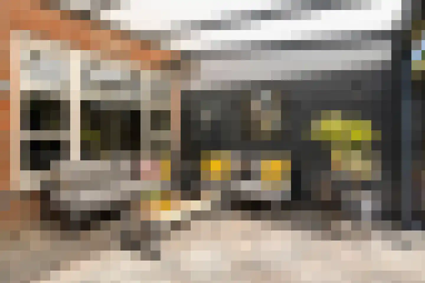 Hoekendaalse Velden 3 Bakel thumbnail 37