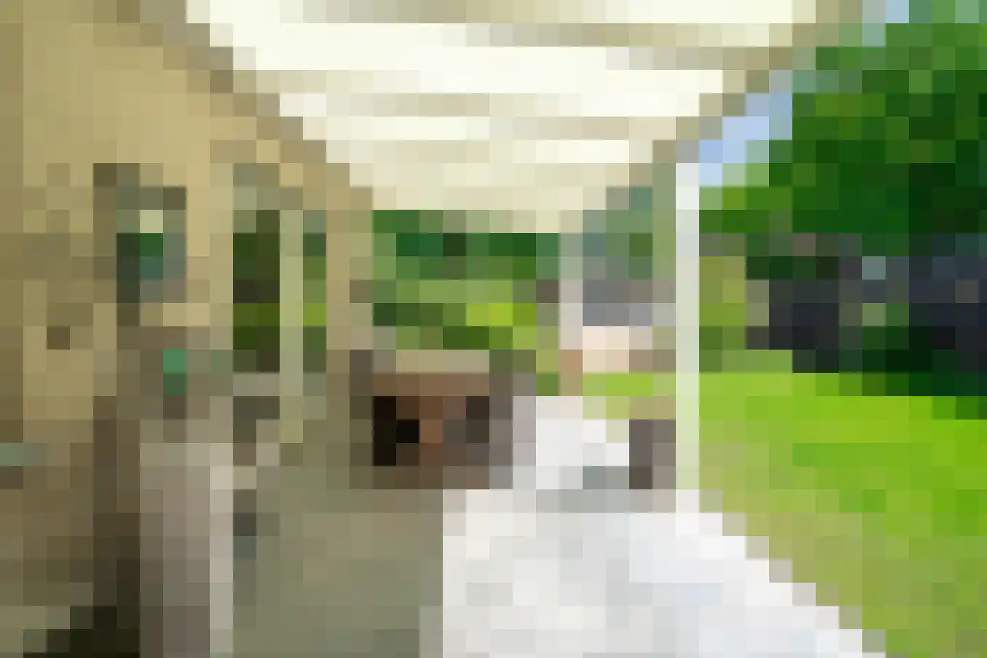 Hoekendaalse Velden 55 Bakel thumbnail 29