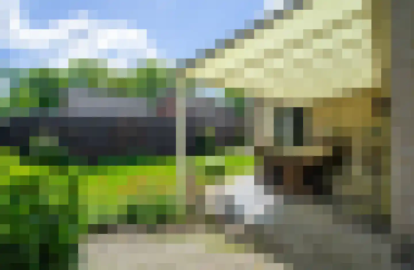Hoekendaalse Velden 55 Bakel thumbnail 30