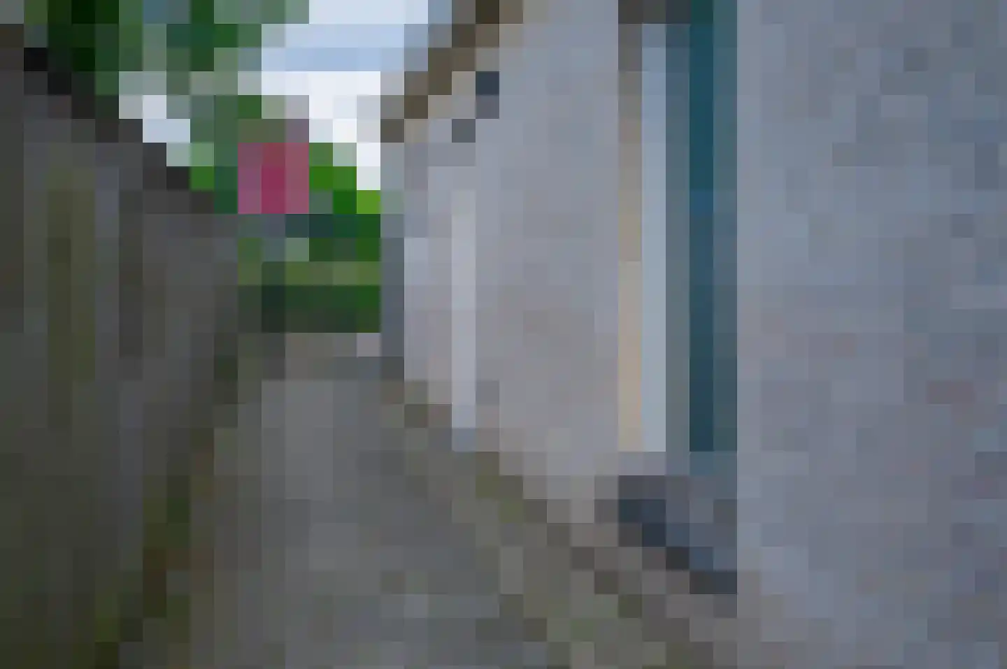Hoekendaalse Velden 55 Bakel thumbnail 34