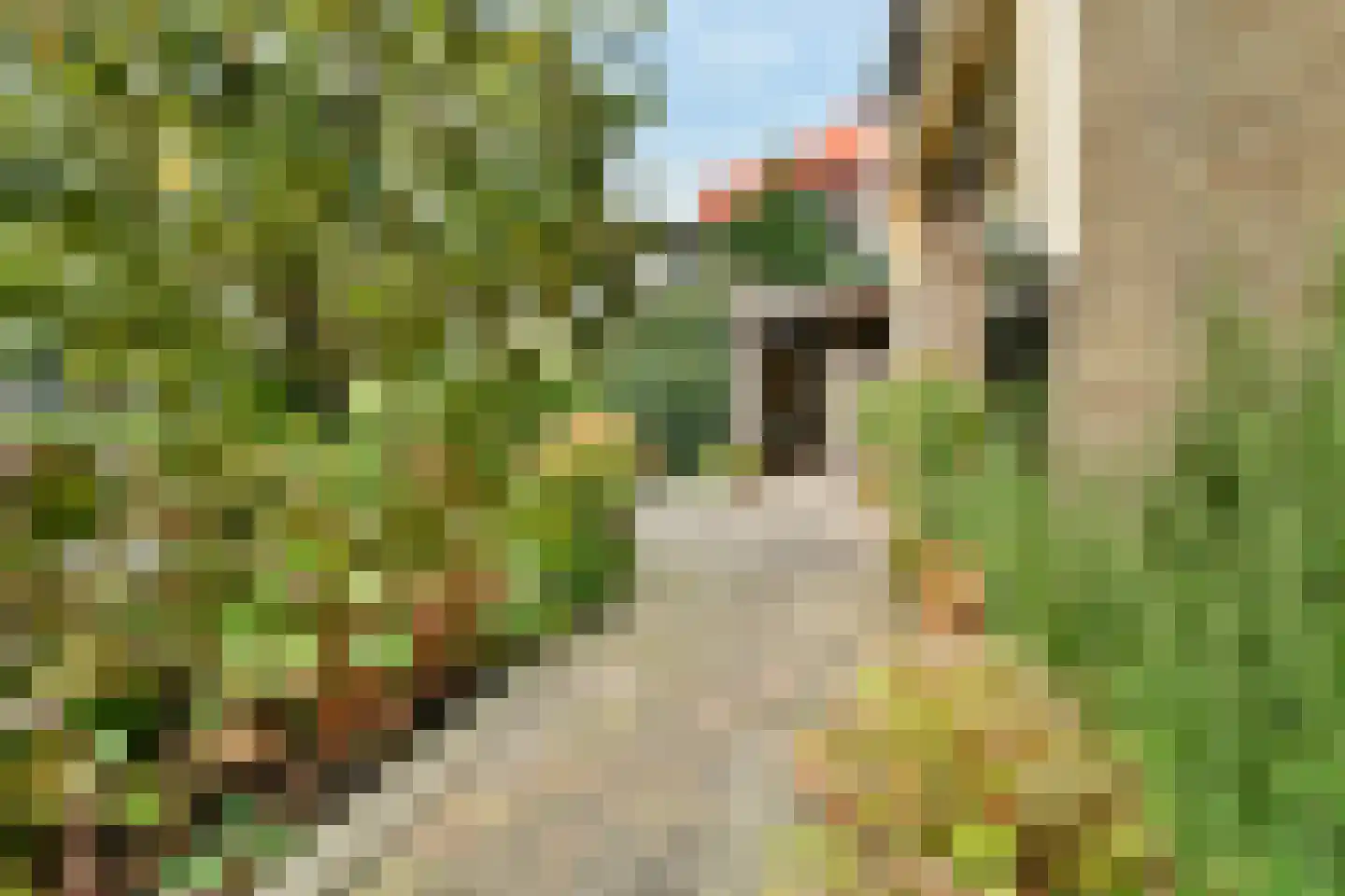 Hoekenes 102 Amsterdam thumbnail 16
