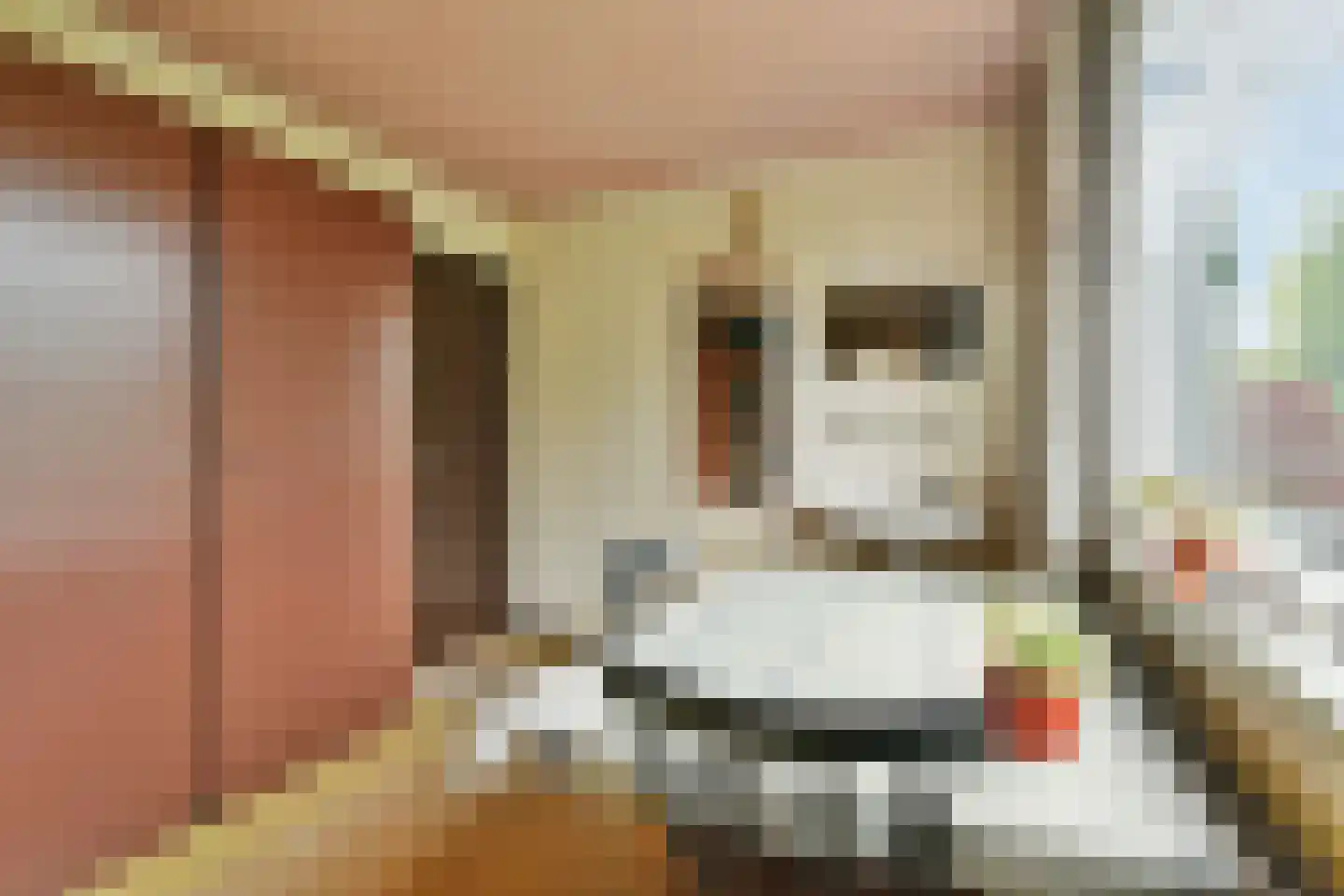 Hoekenes 102 Amsterdam thumbnail 30