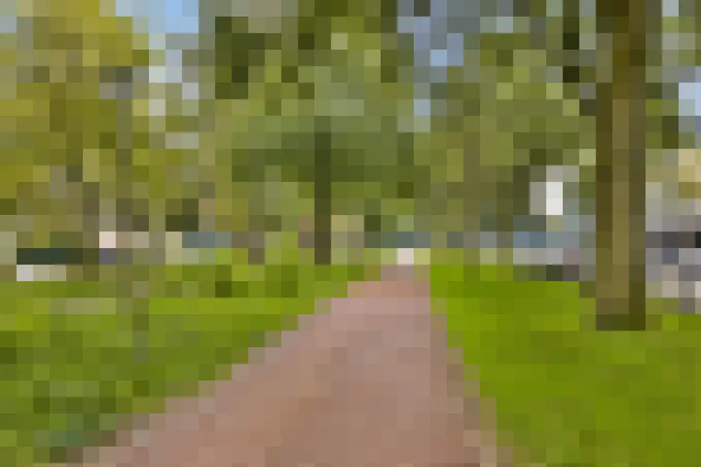 Hoekenes 102 Amsterdam thumbnail 34