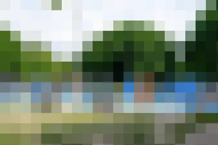 Hoekenes 44 Amsterdam thumbnail 38