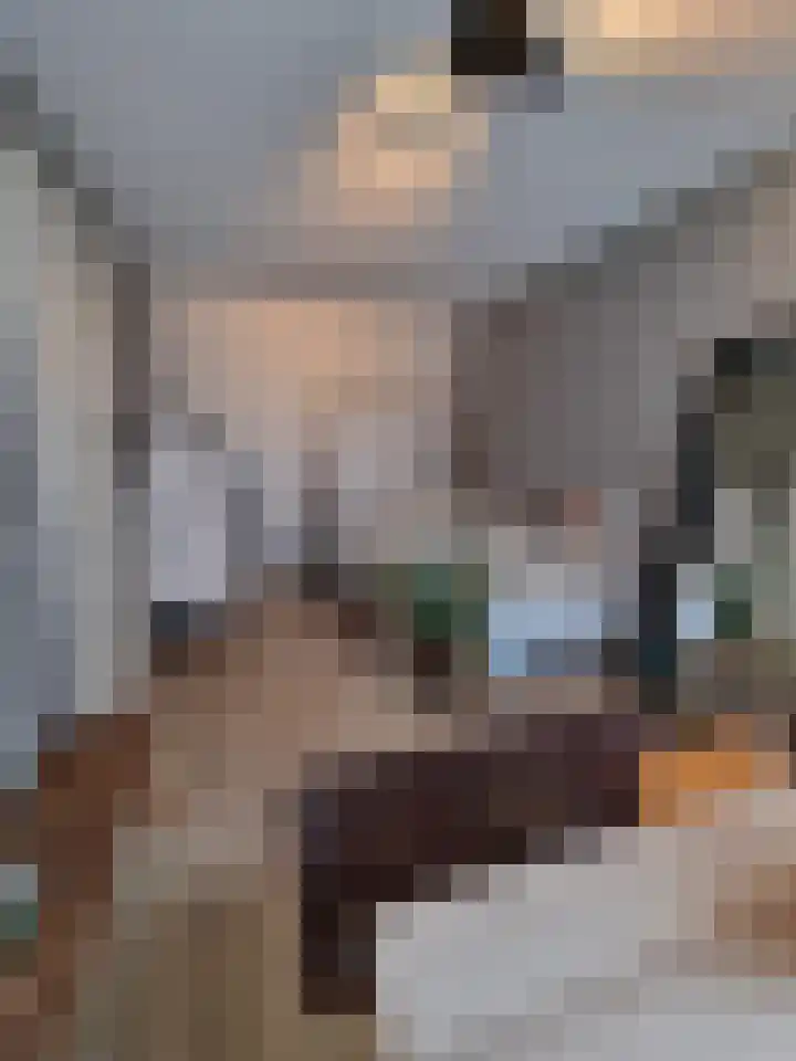 Hoekenespad 88 Amsterdam thumbnail 16