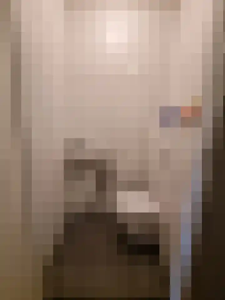 Hoekenespad 88 Amsterdam thumbnail 17