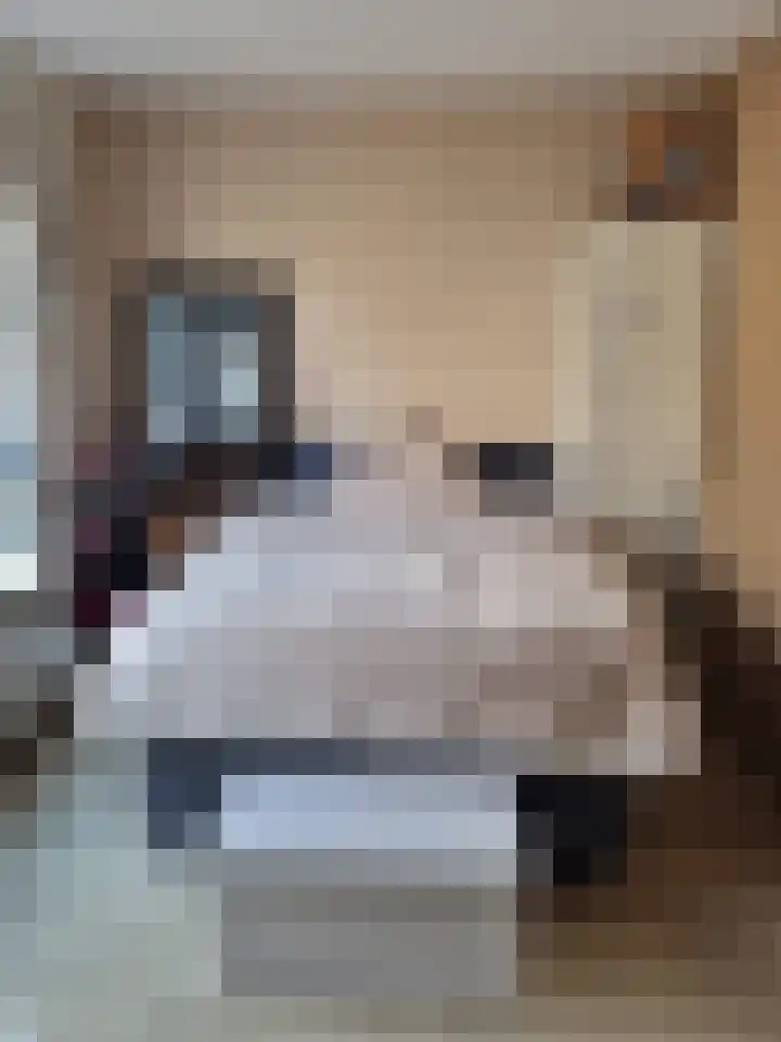 Hoekenespad 88 Amsterdam thumbnail 19