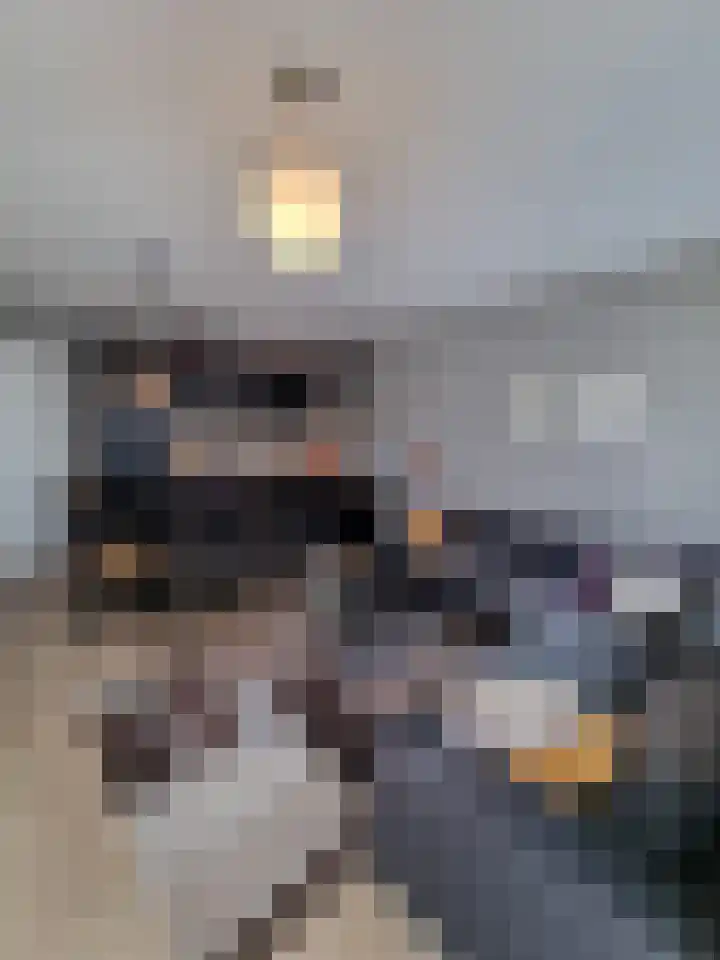 Hoekenespad 88 Amsterdam thumbnail 7