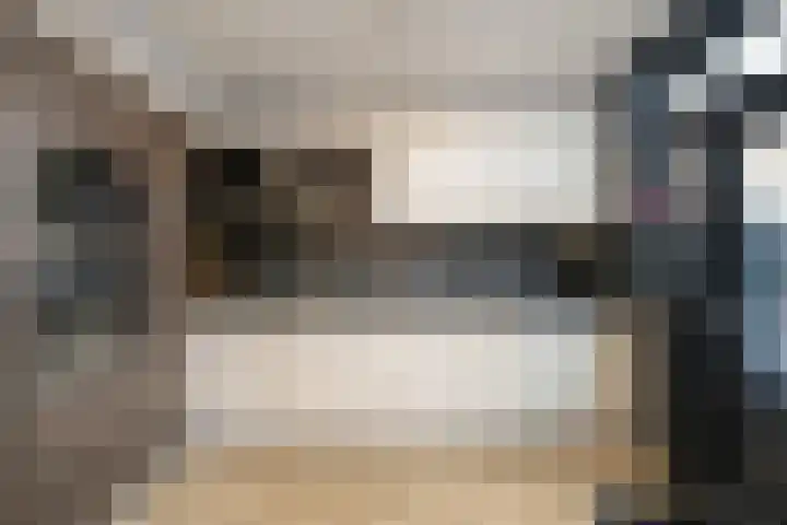 Hoekenessestraat 6 Dordrecht thumbnail 11