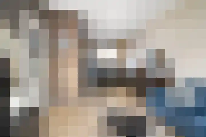 Hoekenessestraat 6 Dordrecht thumbnail 6