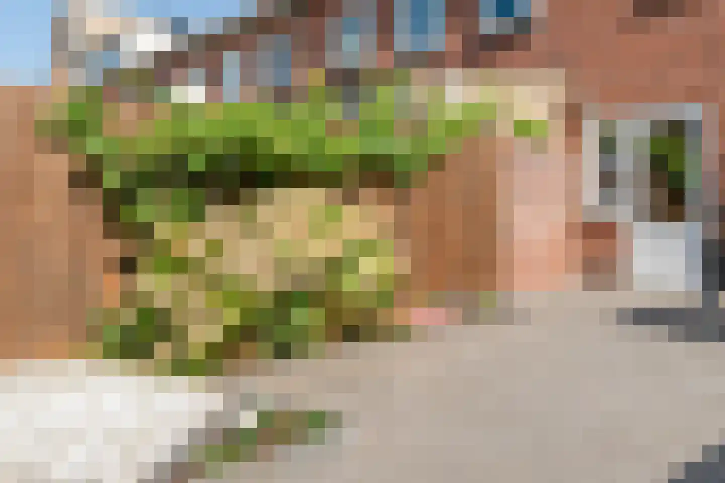 Hoekenstraat 19 Vianen thumbnail 26