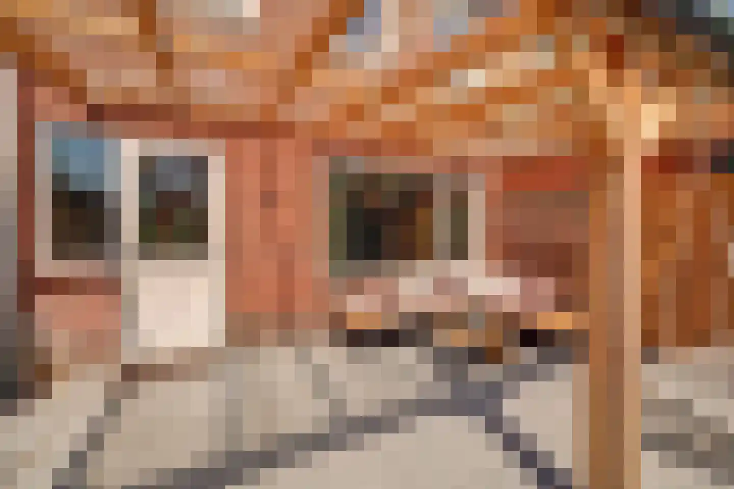 Hoekenstraat 39 Vianen thumbnail 22