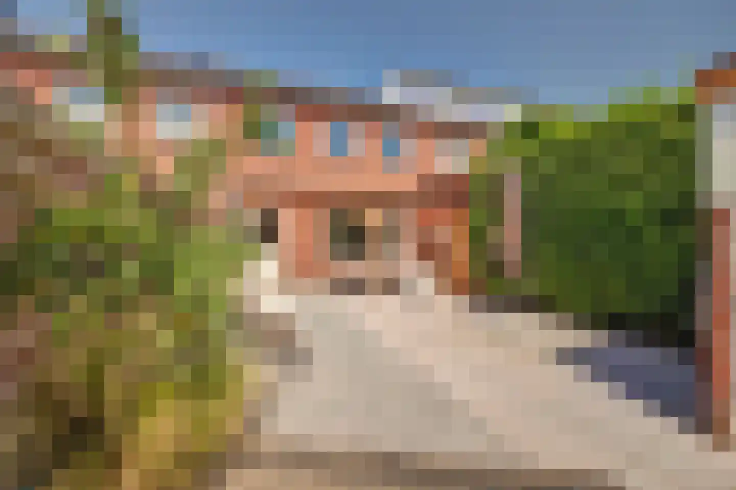 Hoekenstraat 39 Vianen thumbnail 25
