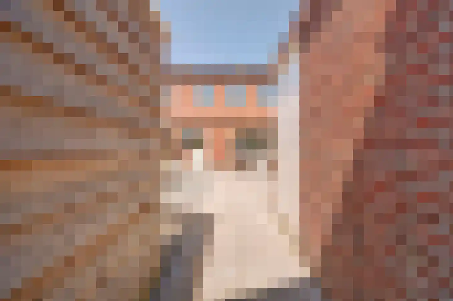 Hoekenstraat 39 Vianen thumbnail 26