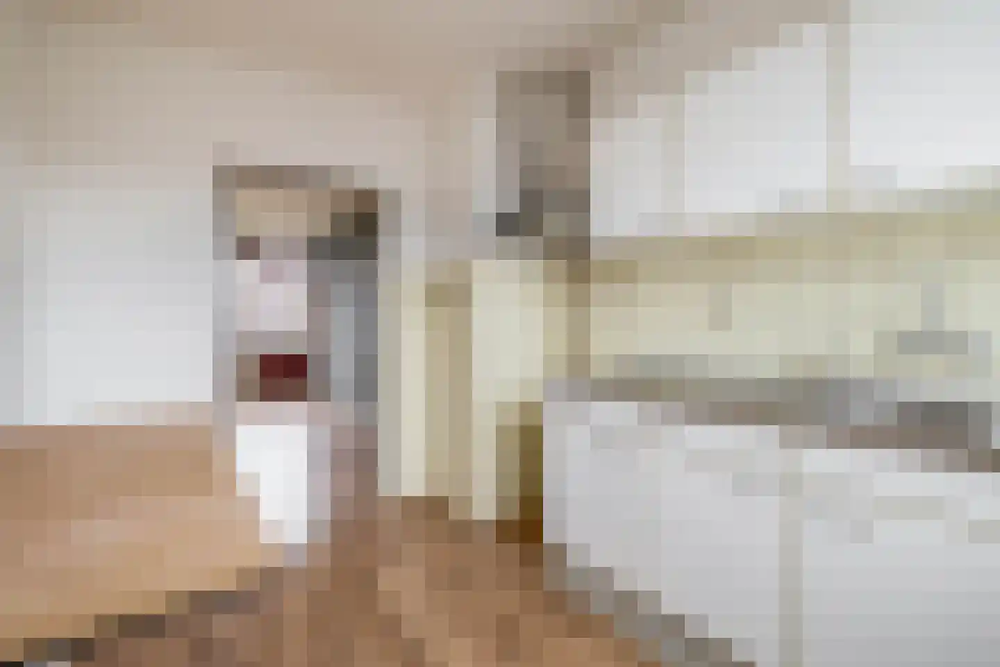 Hoeker 10 Wieringerwerf thumbnail 18