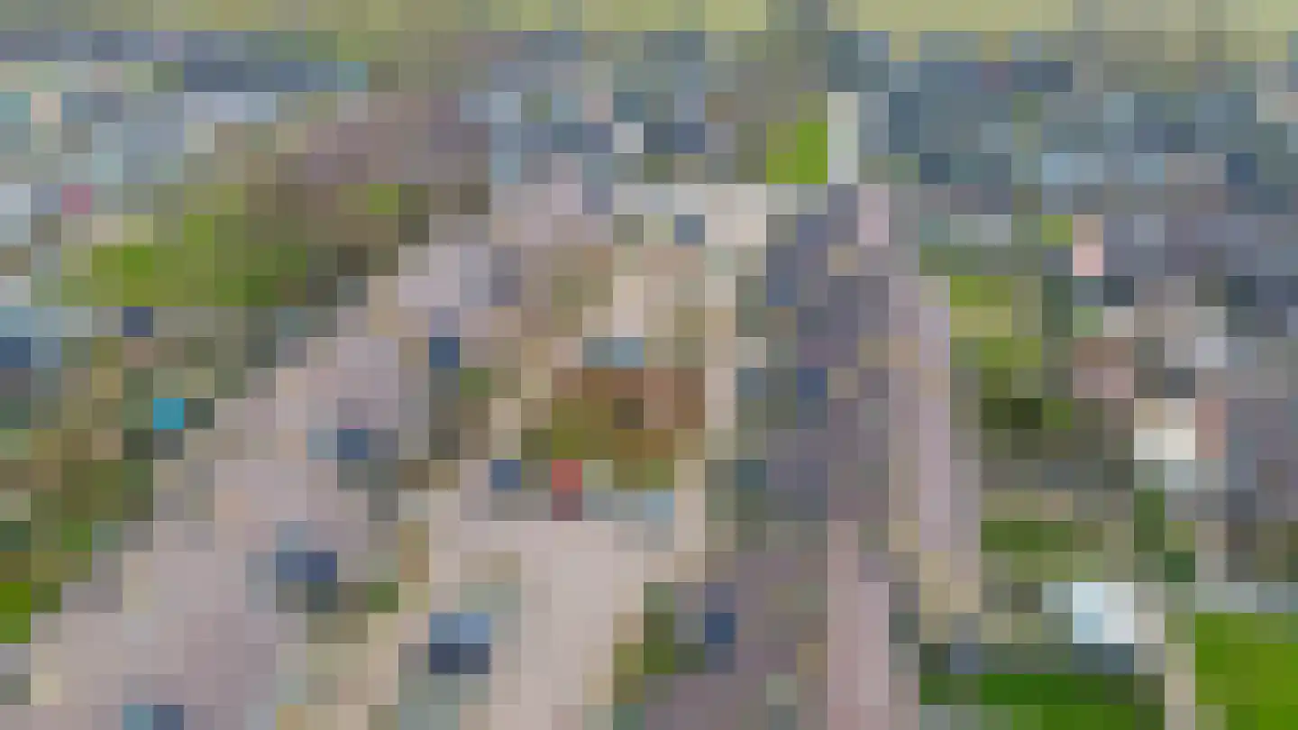 Hoeker 10 Wieringerwerf thumbnail 33