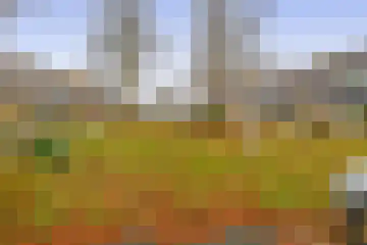 Hoeker 11 Wieringerwerf thumbnail 25
