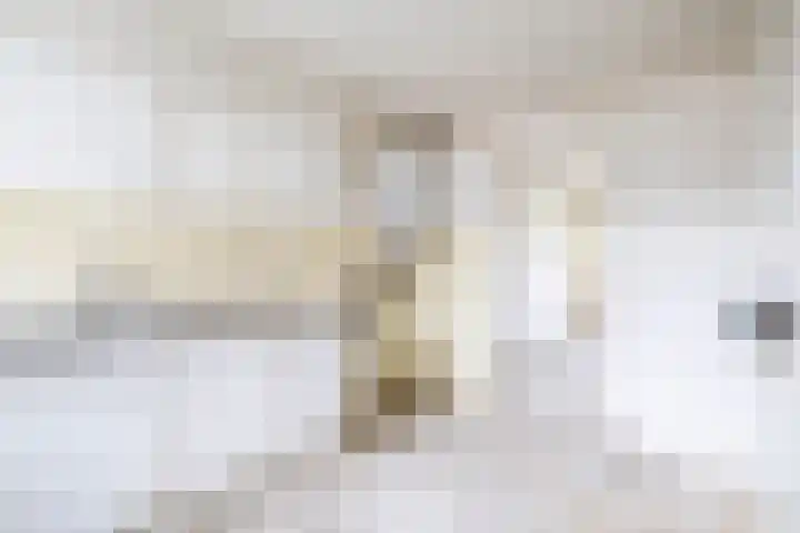 Hoeker 14 Wieringerwerf thumbnail 15
