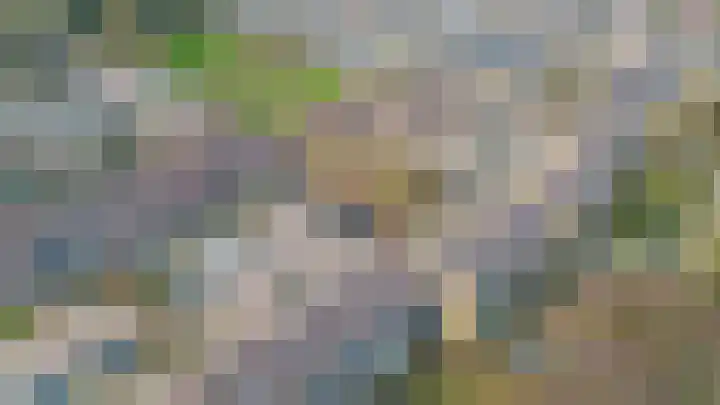 Hoeker 14 Wieringerwerf thumbnail 31