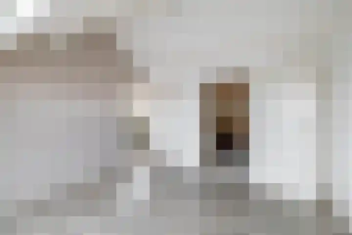 Hoeker 16 Wieringerwerf thumbnail 32