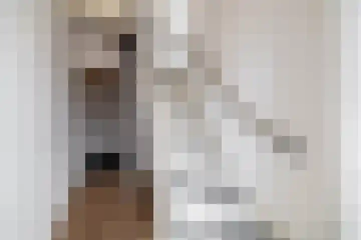 Hoeker 16 Wieringerwerf thumbnail 8
