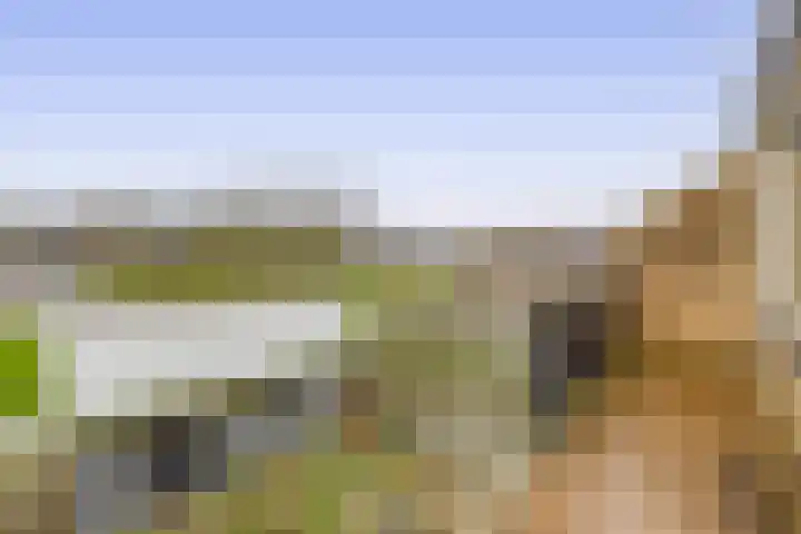Hoeker 17 Wieringerwerf thumbnail 20