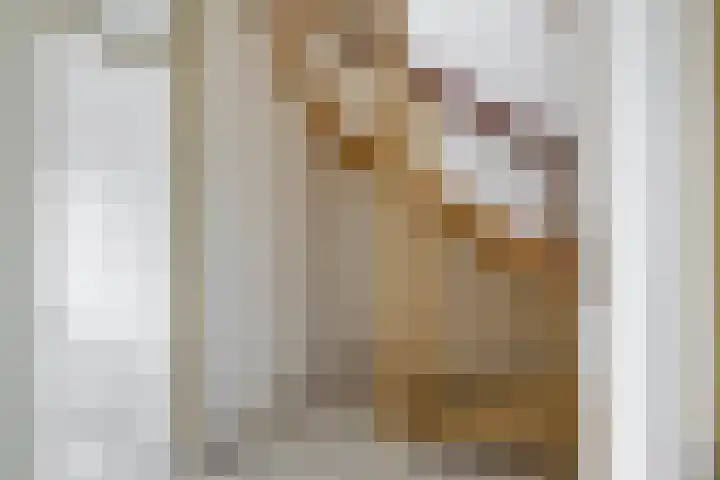 Hoeker 17 Wieringerwerf thumbnail 24