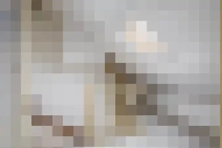 Hoeker 17 Wieringerwerf thumbnail 25