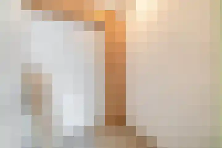 Hoeker 17 Wieringerwerf thumbnail 32