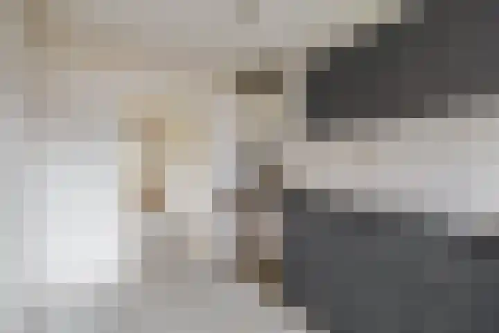 Hoeker 21 Wieringerwerf thumbnail 14