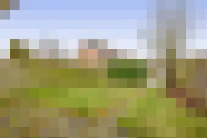 Hoeker 21 Wieringerwerf thumbnail 16