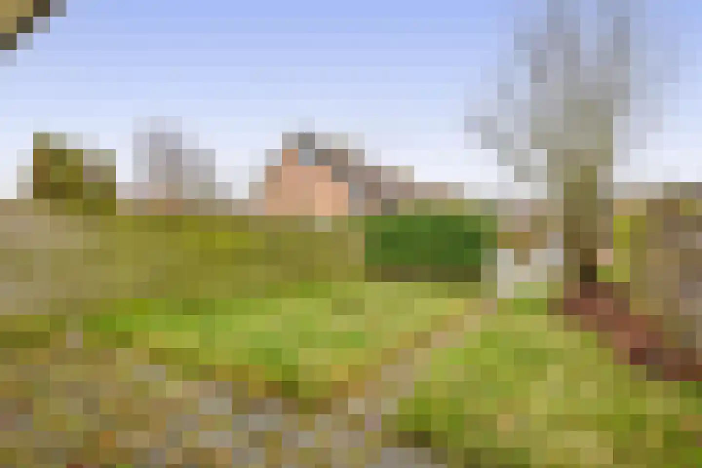 Hoeker 21 Wieringerwerf thumbnail 16