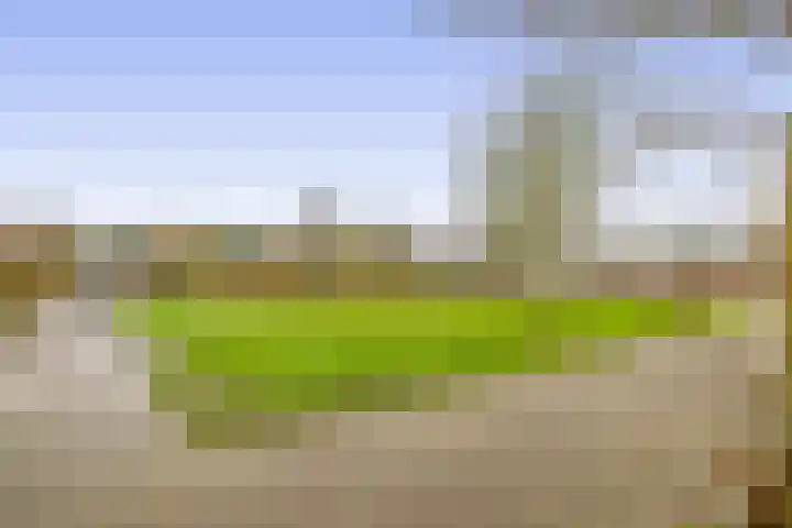 Hoeker 21 Wieringerwerf thumbnail 17